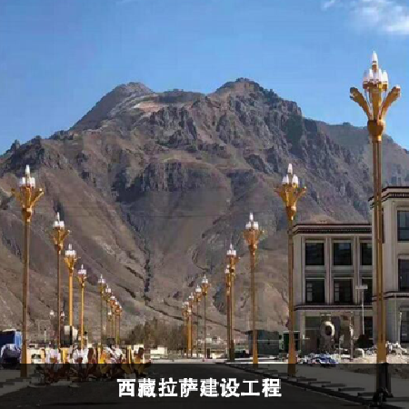 西藏拉薩建設(shè)工程