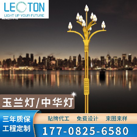 廠家批發(fā)市政工程照明8米10米12米中華燈景區(qū)廣場主干道玉蘭燈